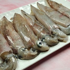성후수산 24년 가을 동해안 한치 1kg, 1개, 동해안한치(1kg)15~18미내외