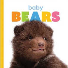 Baby Bears Paperback, Creative Paperbacks, English, 9781628326611