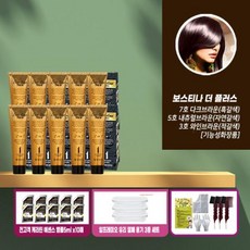 보스티나 더 플러스 염색제 10통 + 유리밀폐용기 3종