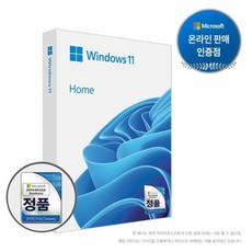 마이크로소프트 Windows 11 Home FPP USB [온라인공인인증점], 1개