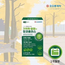 단기기억