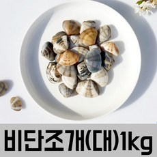 //상품명