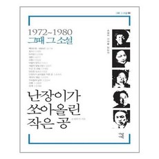 난쟁이가쏘아올린작은공