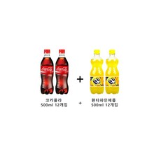 코카콜라 업소용 500ml 12입+환타파인 500ml 12입, 1세트