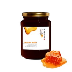 국산꿀 강원도 천연벌꿀 밤꿀 600g, 단품