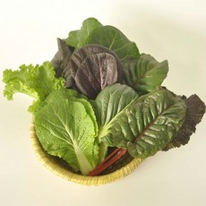 쌈밥채소