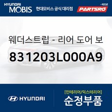 리어 도어 바디 사이드 웨더스트립(뱀띠고무) 우측 (831203L000A9) 현대모비스 부품몰 그랜저TG