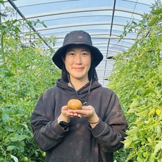 부산청년농부 검증100% 프리미엄 대저 짭짤짭짤토마토, 1박스, 2.5kg(2S사이즈)