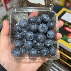 임금농수산물 생블루베리 특대 생과 수입 칠레산, 2개, 125g(20mm 특대과)