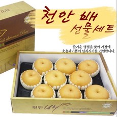 과일특공대 프리미엄 명품 성환 황금 신고 배 선물세트 가정용 대과 5kg 8kg, 1박스, 황금배선물세트 6개입 3kg내외