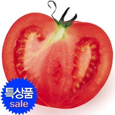 588a59841533ab1e14c5042ac56673f2ac1e0a19863089ab55d5b691704f.jpg