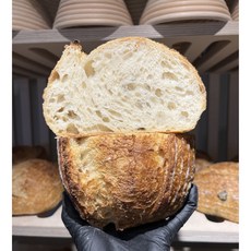 [숏앤심플] 샌프란시스코 (플레인) 사워도우 / San Francisco (Plain) Sourdough