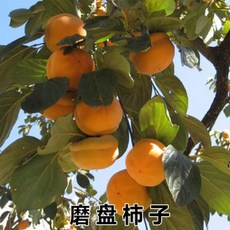 dcd2f33d534d01d564f6e239bb44807c4abd01ae495dd427749836d48f5c.jpg