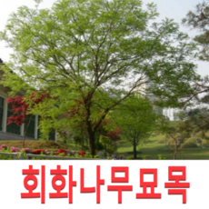 3139e9c0cc00f96ec07d28c509050e30b99bcc81a0afa98a6fa541cfb560.png
