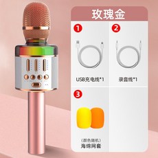 무선마이크 i71마이크 음향일체형 마이크 전국민 노래부르는기기 핸드폰 K노래무선 블루투스 스피커, T01-로즈골드 스탠다드 공식모델