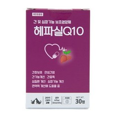 헤파실