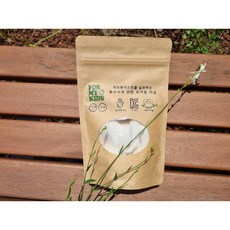 사탕수수키즈치실