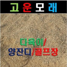 골프장양잔디