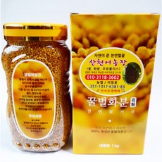 국산 햇 벌꽃가루 건조 벌화분 1kg 비폴렌 자연산, 1개