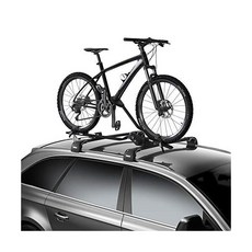 툴레라이드얼롱미니