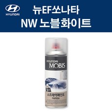 nw1xm910