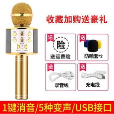블루투스마이크 ws858무선블루투스 마이크 전국민 K스마트폰 손사이즈 KTV내장되어있음 음향일체형, T01-아이폰골드 본점 면제 없음