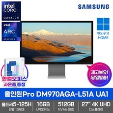 삼성 올인원 PRO DM970AGA-L51A UA1 SSD512GB 16GB램 인텔 울트라5 125H Win11Home 27형 4K UHD 일체형 PC