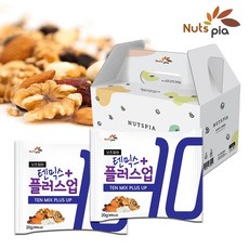 넛츠피아 텐믹스 플러스업 15봉 선물세트 매일 하루견과 한줌 견과류 혼합 믹스 넛, 15개, 20g