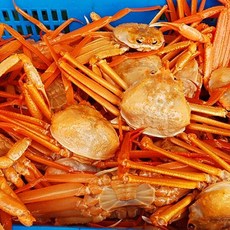[식탁이야기][산지직송] 구룡포 홍게 13 ~ 15마리 (3kg 내외), 1개