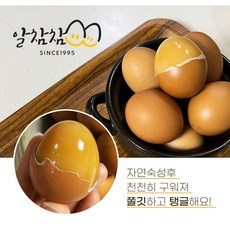 파손보상 알참참 HACCP인증 구운계란...