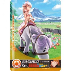 닌텐도 마리오 스포츠 슈퍼스타 아미보 카드 경마 스위치 Wii U 3DS용 핑크 골드 피치, 1개