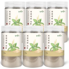  동의한재 차전자피 가루 분말 500g x 6통 