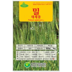 재배용 밀씨앗 500g 1kg, 1개