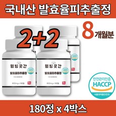 올앳미발효율피