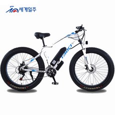 세계일주 하이브리드 자전거 36V10AH350W 160cm 리튬 배터리 mtb 전기자전거 7단(부가세 포함 )(95%조립), 화이트