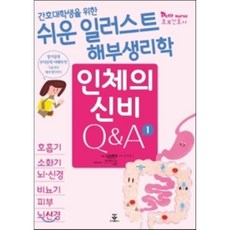 인체의신비