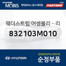제네시스웨더스트립