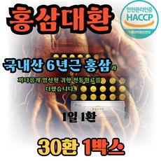 신년선물 작약뿌리 참당귀 녹용 비수리 홍삼 대환, 1박스, 30회분