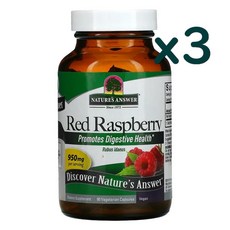 라즈베리추출물