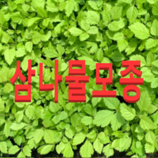 a0327c6ba2435a8a0b9d1d0d14e4a5d6638e4cc5d6525d0814adc74bed23.png