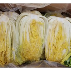 해남절임배추 김장배추 20kg (7-9포기), 20kg(7-9포기)