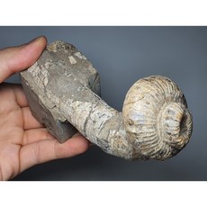 스토케슬리피확장키트