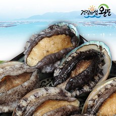 [생일도 참전복] 완도직송 총각이 키운 활전복 1kg(10-12미), 1개