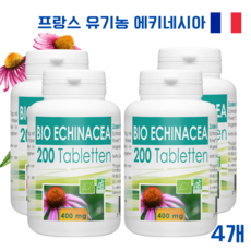 에키네시아 TOP01