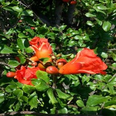 865b0dae26067cc7fff7de040ca7868f18ef1b1b023e3f906b29ffe47cc1.jpg