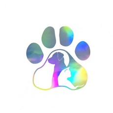 고양이발레이져