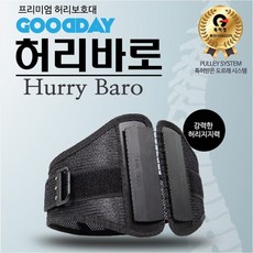 사계절허리보호대
