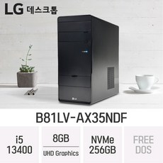 LG 데스크탑 B81LV-AX35NDF