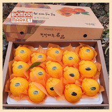 봄드리마켓 제주도 프리미엄 한라봉 고당도 15brix 2kg 3kg 5kg 선물용 3kg 5kg, 1개, 5kg 선물용 (11-16과)