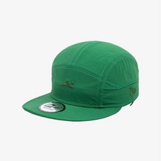 뉴에라제트캡그린